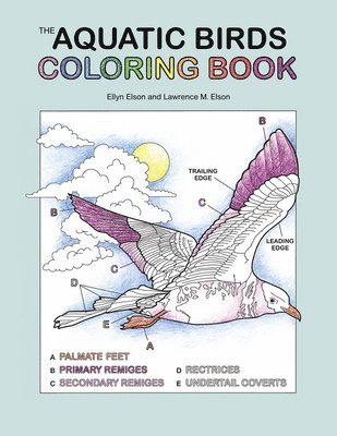 Coloring Concepts Inc., Coloring Concepts Inc - The Aquatic Birds Coloring Book, Häftad