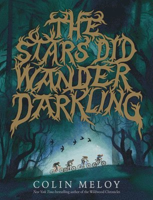 Colin Meloy - The Stars Did Wander Darkling, Inbunden