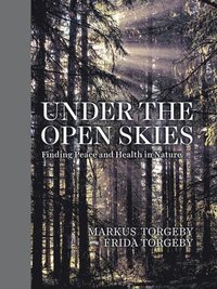 bokomslag Under The Open Skies