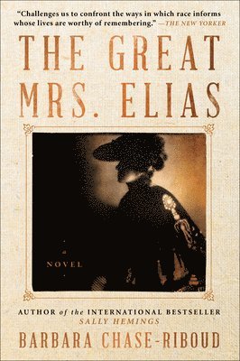 bokomslag The Great Mrs. Elias