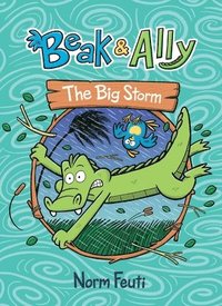 bokomslag Beak & Ally #3: The Big Storm