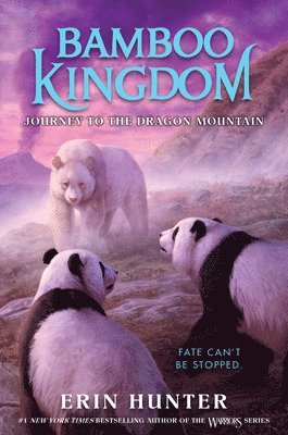 bokomslag Bamboo Kingdom #3: Journey To The Dragon Mountain