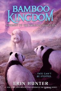 bokomslag Bamboo Kingdom #3: Journey to the Dragon Mountain