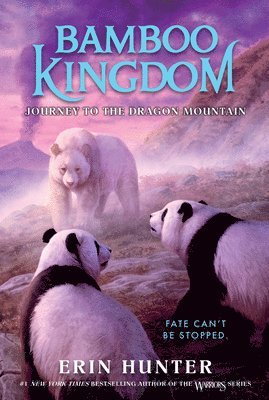 Bamboo Kingdom #3: Journey to the Dragon Mountain 1