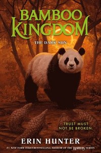 bokomslag Bamboo Kingdom #4: The Dark Sun