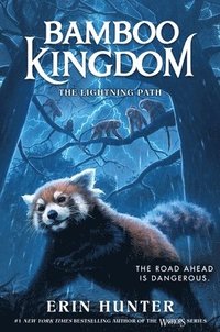 bokomslag Bamboo Kingdom #5: The Lightning Path