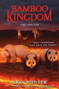 bokomslag Bamboo Kingdom #6: Fire and Ash