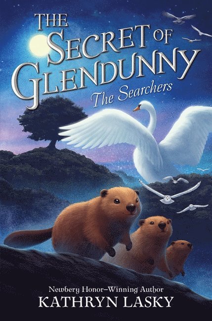 The Secret of Glendunny #2: The Searchers 1