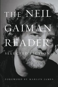 bokomslag Neil Gaiman Reader