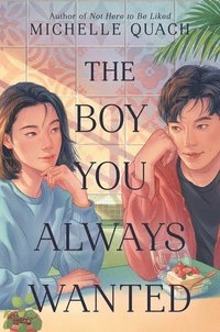 bokomslag Boy You Always Wanted, The