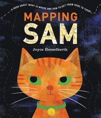 bokomslag Mapping Sam