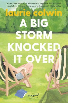 Laurie Colwin - A Big Storm Knocked It Over, Häftad