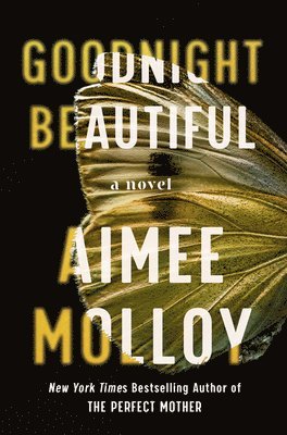 Aimee Molloy - Goodnight Beautiful, Häftad. Tillgänglighet: Lägg i varukorg
