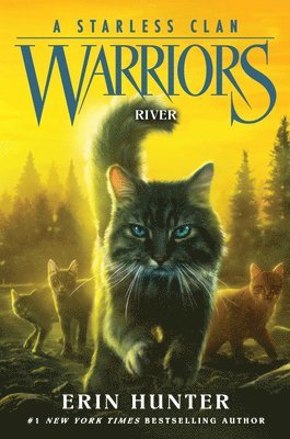 bokomslag Warriors: A Starless Clan 01: River