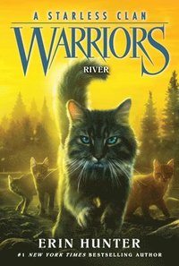 bokomslag Warriors: A Starless Clan #1: River