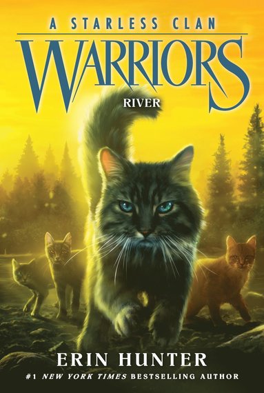 bokomslag Warriors: A Starless Clan #1: River