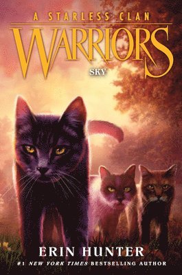 bokomslag Warriors: A Starless Clan 02: Sky