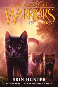 bokomslag Warriors: A Starless Clan #2: Sky