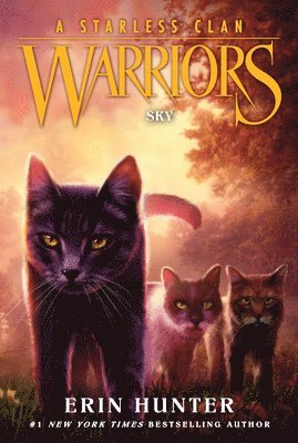 Warriors: A Starless Clan #2: Sky 1