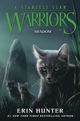 bokomslag Warriors: A Starless Clan 03: Shadow