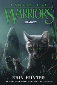 bokomslag Warriors: A Starless Clan #3: Shadow