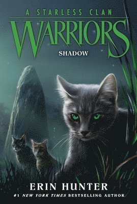Warriors: A Starless Clan #3: Shadow 1