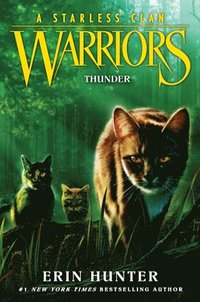 bokomslag Warriors: A Starless Clan #4: Thunder
