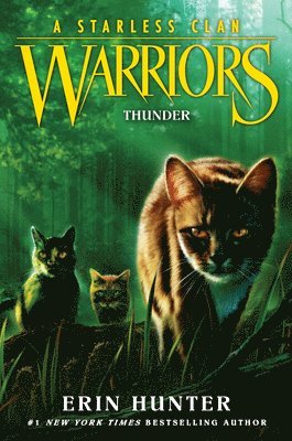 Warriors: A Starless Clan #4: Thunder 1
