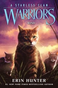 bokomslag Warriors: A Starless Clan #5: Wind