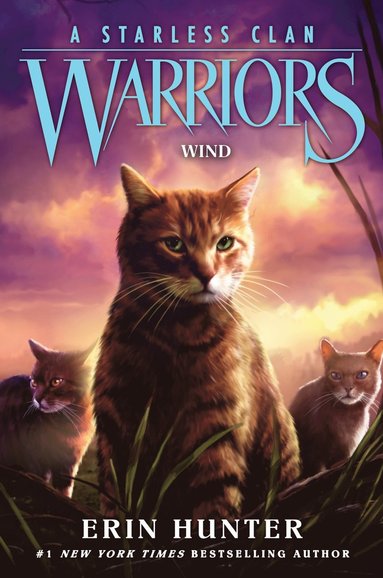 bokomslag Warriors: A Starless Clan #5: Wind