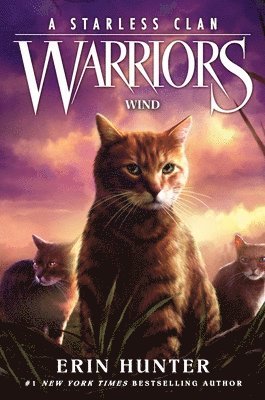 bokomslag Warriors: A Starless Clan #5: Wind