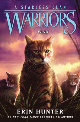 Warriors: A Starless Clan #5: Wind 1