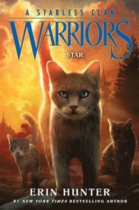 bokomslag Warriors: A Starless Clan #6: Star