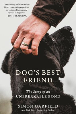 Dog's Best Friend 1