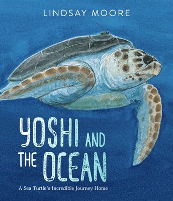 bokomslag Yoshi and the Ocean: A Sea Turtle's Incredible Journey Home