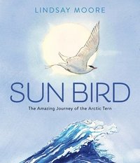 bokomslag Sun Bird