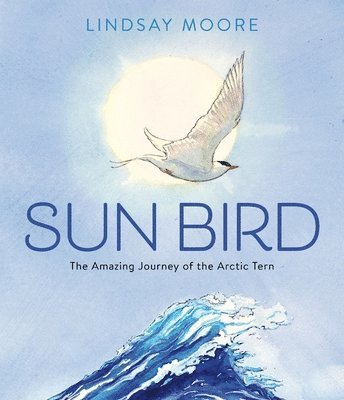 Sun Bird: The Amazing Journey of the Arctic Tern 1