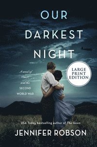bokomslag Our Darkest Night