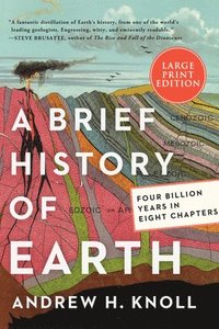 bokomslag A Brief History of Earth