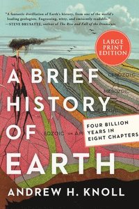 bokomslag A Brief History of Earth: Four Billion Years in Eight Chapters