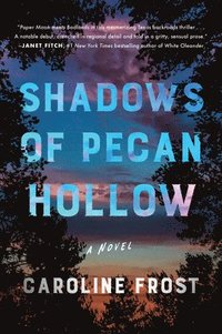 bokomslag Shadows of Pecan Hollow