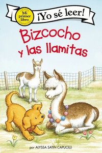bokomslag Bizcocho Y Las Llamitas