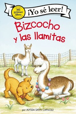 bokomslag Bizcocho y las llamitas / Biscuit and the Little Llamas