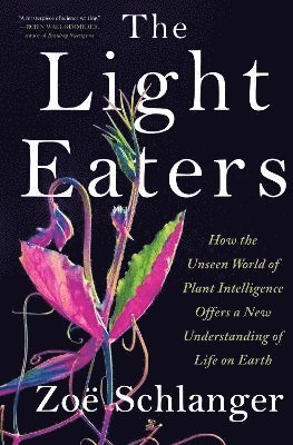 bokomslag The Light Eaters