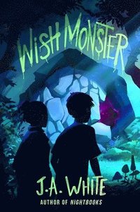 bokomslag Wish Monster