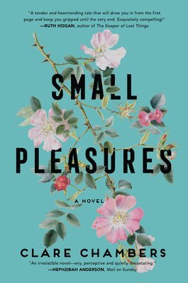 Clare Chambers - Small Pleasures, Inbunden