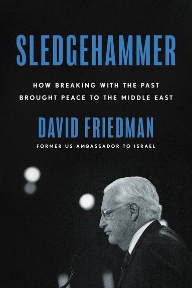 David Friedman - Sledgehammer, Inbunden
