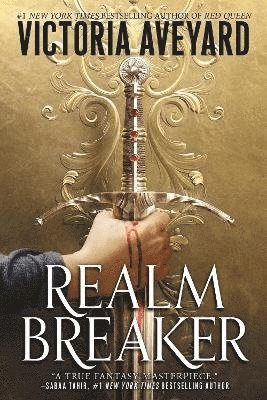 bokomslag Realm Breaker