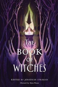 bokomslag The Book of Witches