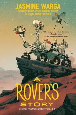 bokomslag A Rover's Story